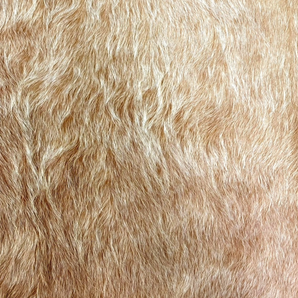 Designer Pony Blonde